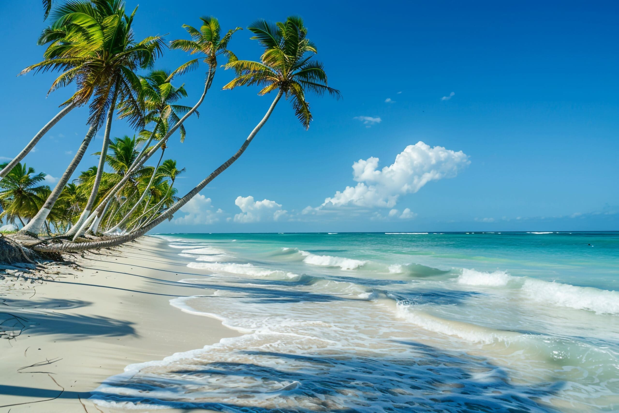 Liveblog Dominican Republic